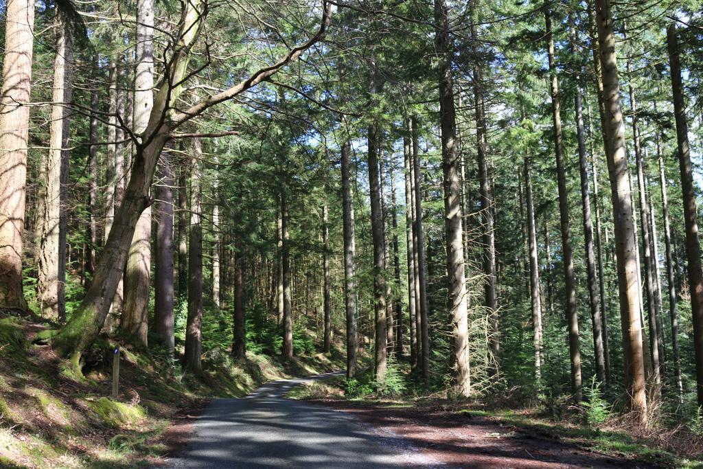Bod Gwynedd Bed And Breakfast Betws-y-Coed Esterno foto