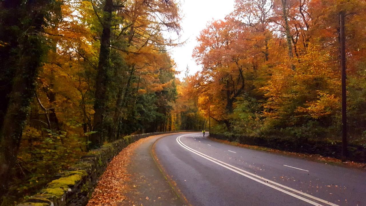 Bod Gwynedd Bed And Breakfast Betws-y-Coed Esterno foto